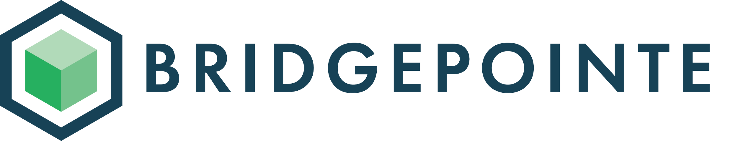 Bridgepoint Logo